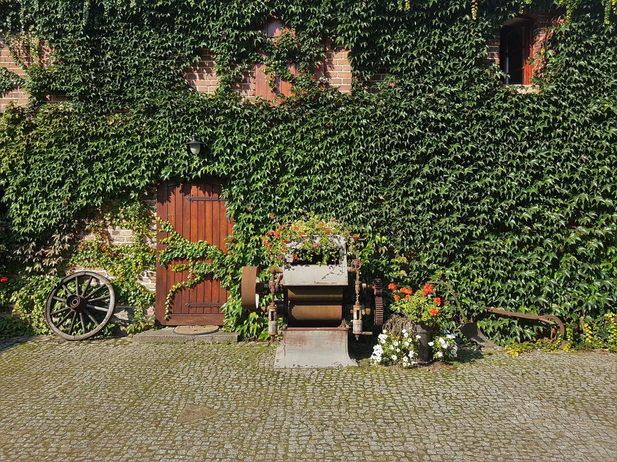Leniwka Hotel Świebodzin Exterior foto